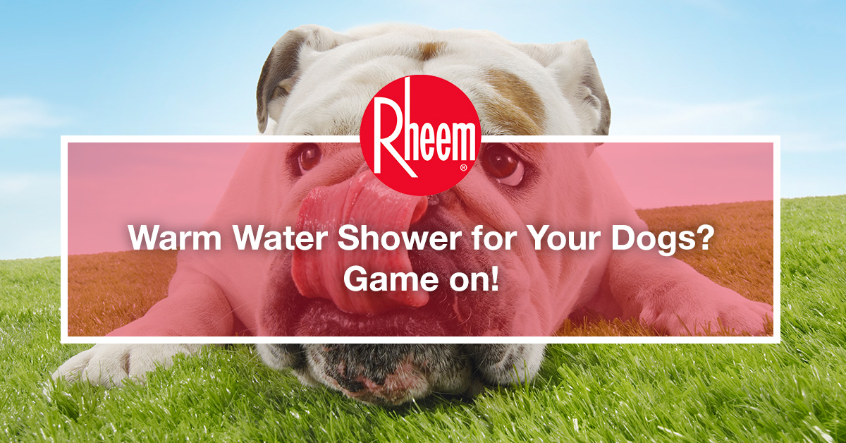 Showering with deals your dog