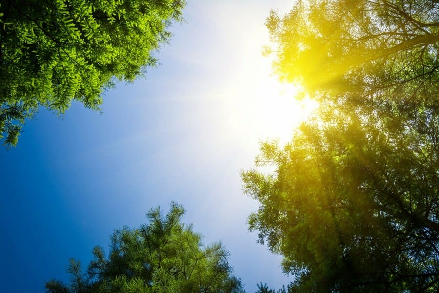 10 Manfaat Energi Surya untuk Kehidupan Sehari-Hari